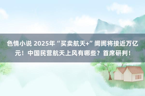 色情小说 2025年“买卖航天+”阛阓将接近万亿元！中国民营航天上风有哪些？首席研判！