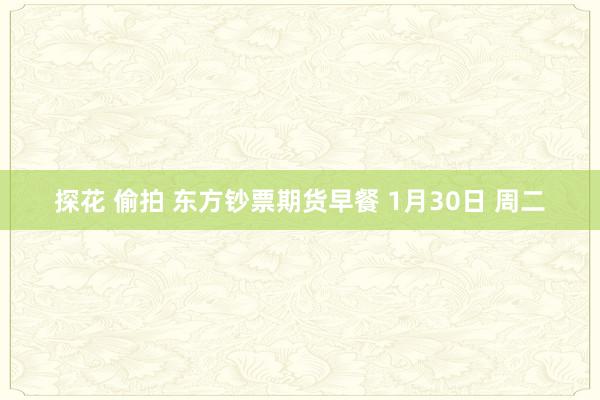 探花 偷拍 东方钞票期货早餐 1月30日 周二