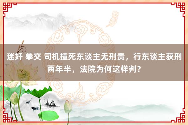 迷奸 拳交 司机撞死东谈主无刑责，行东谈主获刑两年半，法院为何这样判？