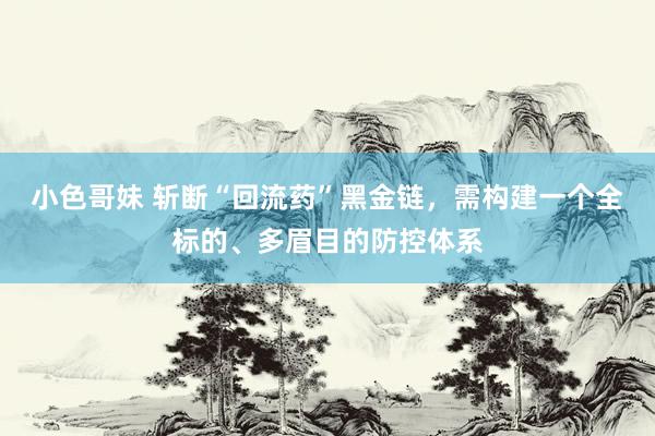 小色哥妹 斩断“回流药”黑金链，需构建一个全标的、多眉目的防控体系