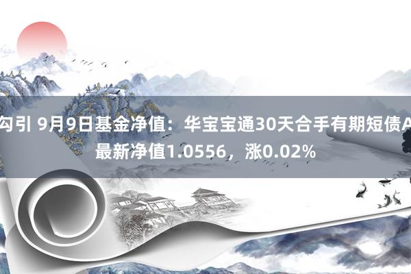 勾引 9月9日基金净值：华宝宝通30天合手有期短债A最新净值1.0556，涨0.02%