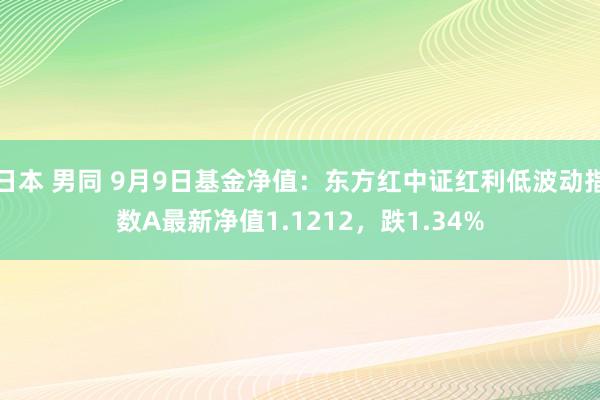 日本 男同 9月9日基金净值：东方红中证红利低波动指数A最新净值1.1212，跌1.34%