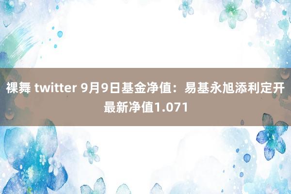 裸舞 twitter 9月9日基金净值：易基永旭添利定开最新净值1.071