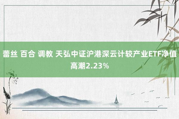 蕾丝 百合 调教 天弘中证沪港深云计较产业ETF净值高潮2.23%