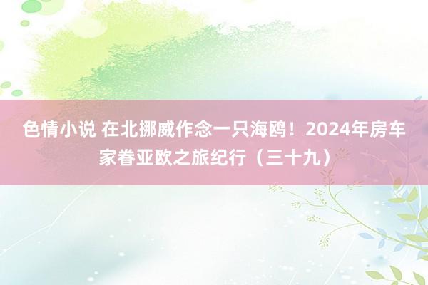 色情小说 在北挪威作念一只海鸥！2024年房车家眷亚欧之旅纪行（三十九）