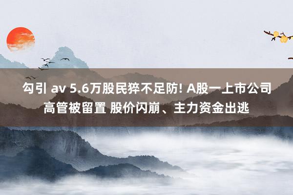 勾引 av 5.6万股民猝不足防! A股一上市公司高管被留置 股价闪崩、主力资金出逃