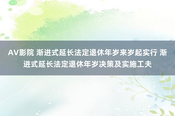 AV影院 渐进式延长法定退休年岁来岁起实行 渐进式延长法定退休年岁决策及实施工夫