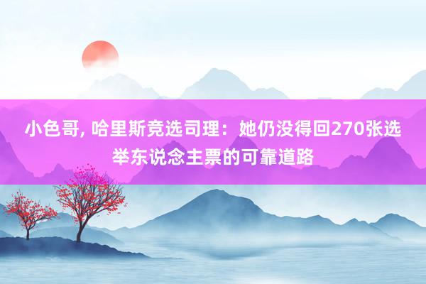 小色哥， 哈里斯竞选司理：她仍没得回270张选举东说念主票的可靠道路