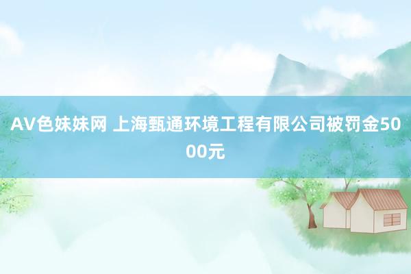 AV色妹妹网 上海甄通环境工程有限公司被罚金5000元