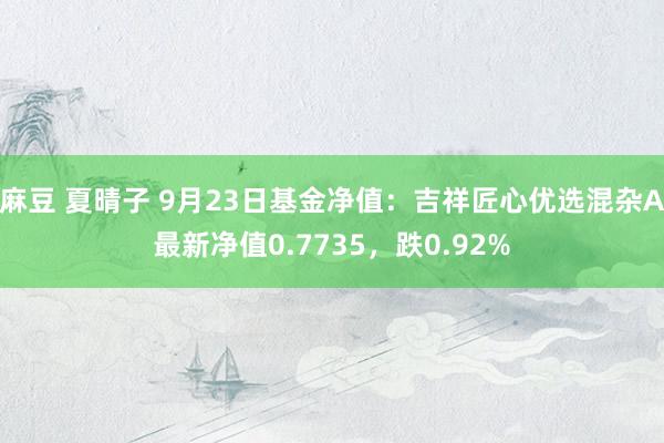 麻豆 夏晴子 9月23日基金净值：吉祥匠心优选混杂A最新净值0.7735，跌0.92%