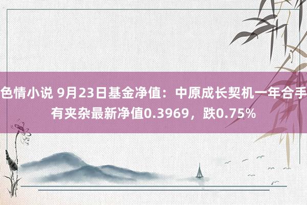 色情小说 9月23日基金净值：中原成长契机一年合手有夹杂最新净值0.3969，跌0.75%