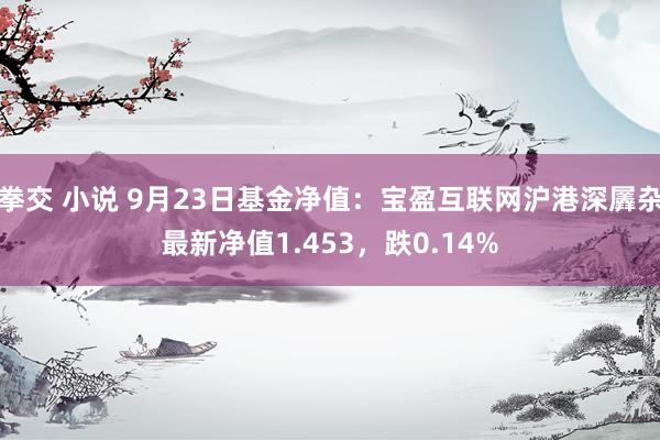 拳交 小说 9月23日基金净值：宝盈互联网沪港深羼杂最新净值1.453，跌0.14%