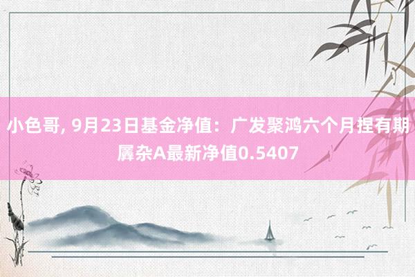 小色哥， 9月23日基金净值：广发聚鸿六个月捏有期羼杂A最新净值0.5407