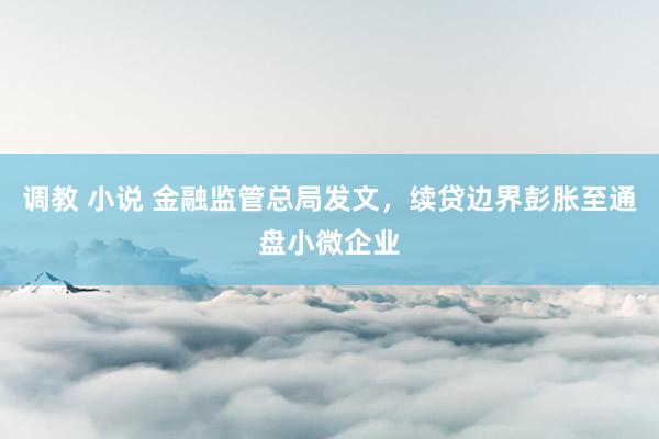 调教 小说 金融监管总局发文，续贷边界彭胀至通盘小微企业