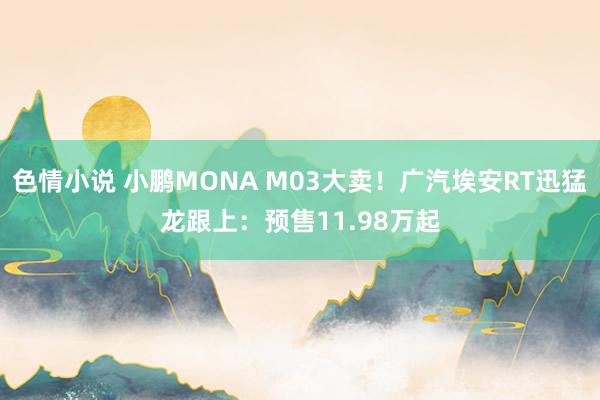 色情小说 小鹏MONA M03大卖！广汽埃安RT迅猛龙跟上：预售11.98万起