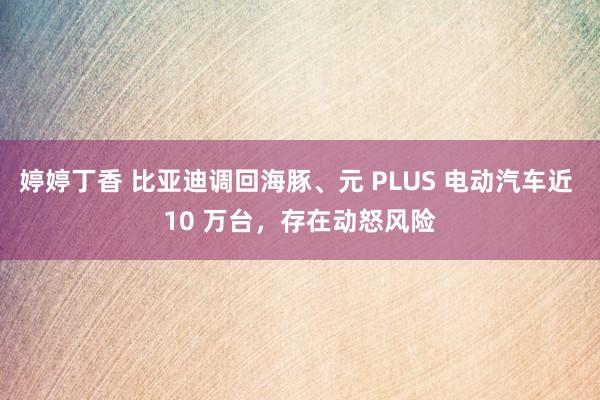 婷婷丁香 比亚迪调回海豚、元 PLUS 电动汽车近 10 万台，存在动怒风险