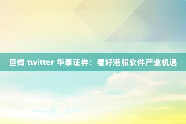 巨臀 twitter 华泰证券：看好港股软件产业机遇