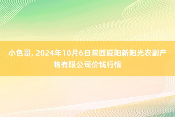 小色哥， 2024年10月6日陕西咸阳新阳光农副产物有限公司价钱行情