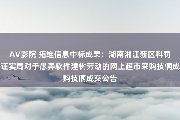 AV影院 拓维信息中标成果：湖南湘江新区科罚委员会证实局对于愚弄软件建树劳动的网上超市采购技俩成交公告