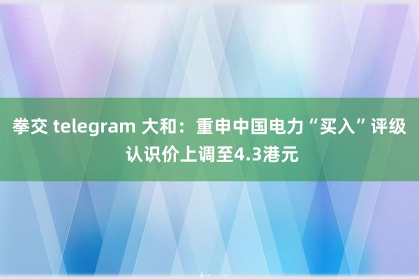 拳交 telegram 大和：重申中国电力“买入”评级 认识价上调至4.3港元