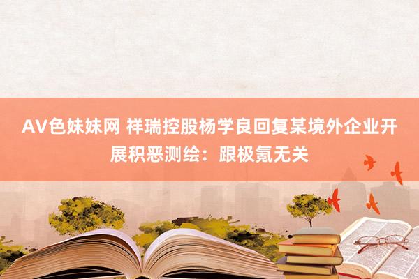 AV色妹妹网 祥瑞控股杨学良回复某境外企业开展积恶测绘：跟极氪无关