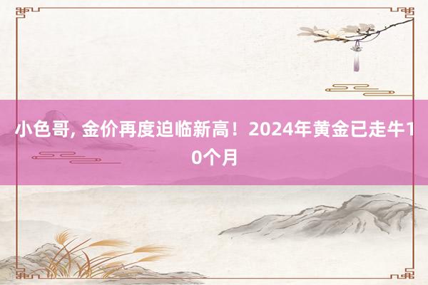 小色哥， 金价再度迫临新高！2024年黄金已走牛10个月