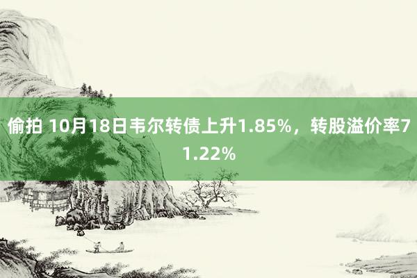 偷拍 10月18日韦尔转债上升1.85%，转股溢价率71.22%