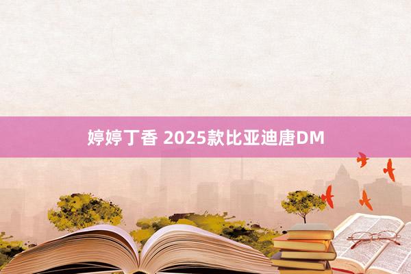 婷婷丁香 2025款比亚迪唐DM