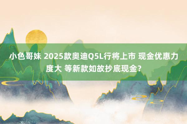 小色哥妹 2025款奥迪Q5L行将上市 现金优惠力度大 等新款如故抄底现金？