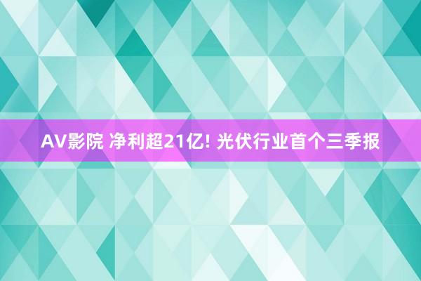 AV影院 净利超21亿! 光伏行业首个三季报