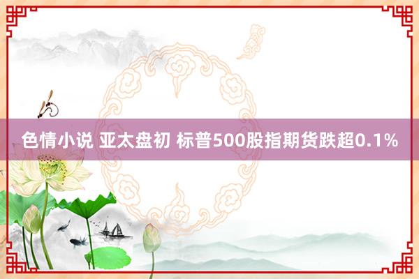 色情小说 亚太盘初 标普500股指期货跌超0.1%