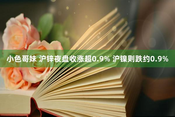 小色哥妹 沪锌夜盘收涨超0.9% 沪镍则跌约0.9%