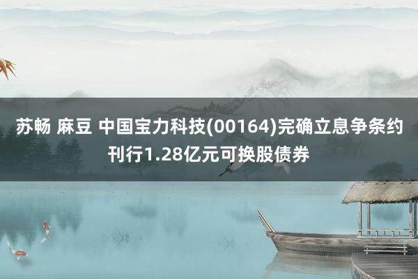 苏畅 麻豆 中国宝力科技(00164)完确立息争条约刊行1.28亿元可换股债券