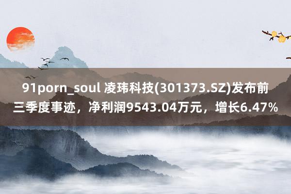 91porn_soul 凌玮科技(301373.SZ)发布前三季度事迹，净利润9543.04万元，增长6.47%