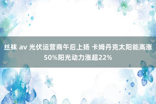 丝袜 av 光伏运营商午后上扬 卡姆丹克太阳能高涨50%阳光动力涨超22%