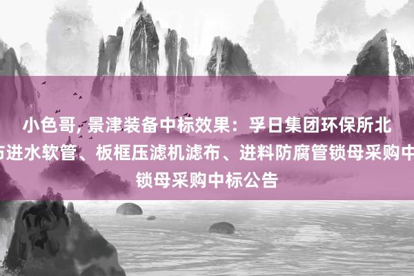 小色哥， 景津装备中标效果：孚日集团环保所北区/洗布进水软管、板框压滤机滤布、进料防腐管锁母采购中标公告