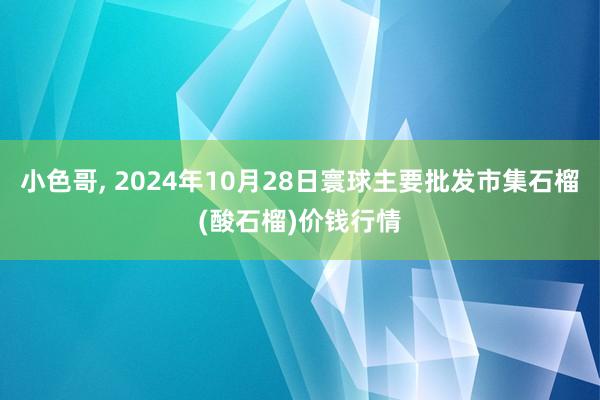 小色哥， 2024年10月28日寰球主要批发市集石榴(酸石榴)价钱行情