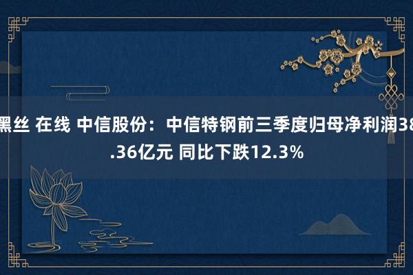 黑丝 在线 中信股份：中信特钢前三季度归母净利润38.36亿元 同比下跌12.3%