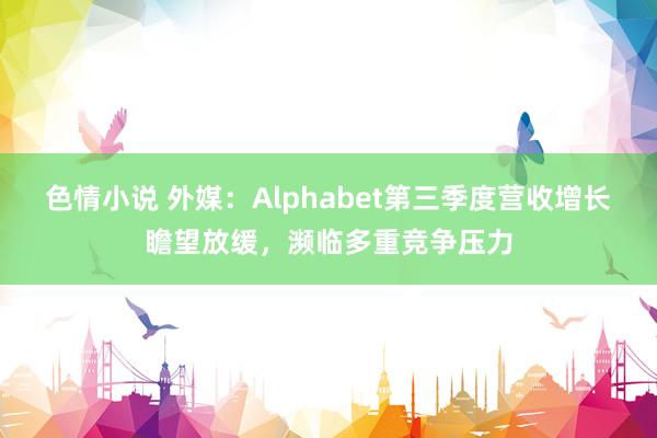 色情小说 外媒：Alphabet第三季度营收增长瞻望放缓，濒临多重竞争压力