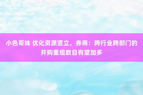 小色哥妹 优化资源竖立，券商：跨行业跨部门的并购重组数目有望加多