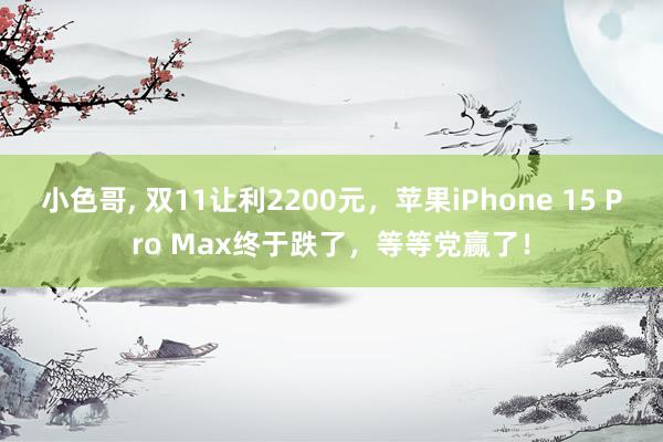 小色哥， 双11让利2200元，苹果iPhone 15 Pro Max终于跌了，等等党赢了！