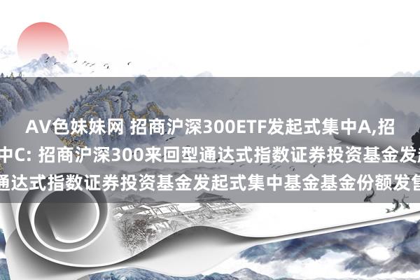 AV色妹妹网 招商沪深300ETF发起式集中A，招商沪深300ETF发起式集中C: 招商沪深300来回型通达式指数证券投资基金发起式集中基金基金份额发售公告