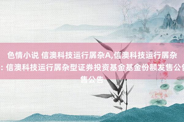 色情小说 信澳科技运行羼杂A，信澳科技运行羼杂C: 信澳科技运行羼杂型证券投资基金基金份额发售公告