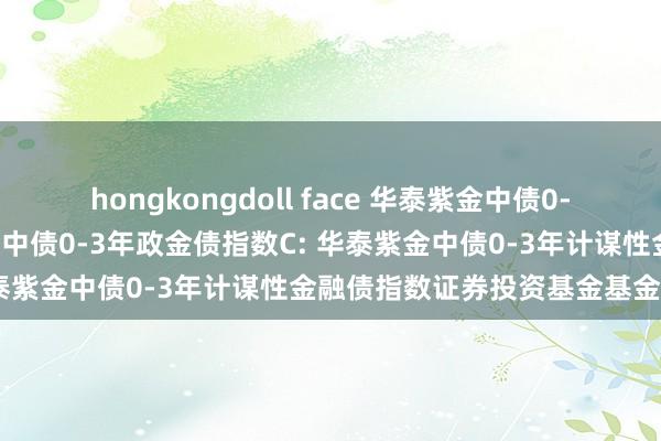 hongkongdoll face 华泰紫金中债0-3年政金债指数A，华泰紫金中债0-3年政金债指数C: 华泰紫金中债0-3年计谋性金融债指数证券投资基金基金合同