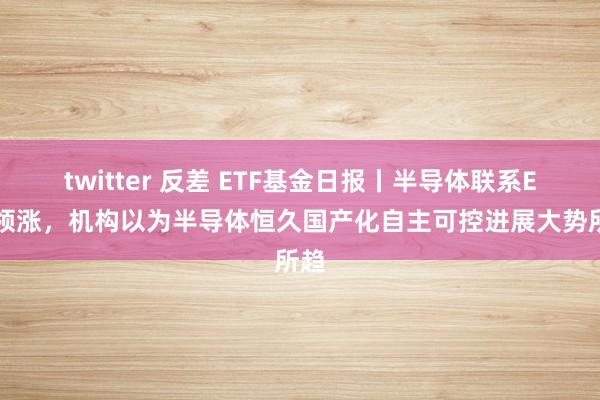 twitter 反差 ETF基金日报丨半导体联系ETF领涨，机构以为半导体恒久国产化自主可控进展大势所趋