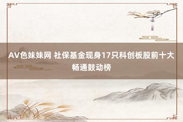 AV色妹妹网 社保基金现身17只科创板股前十大畅通鼓动榜