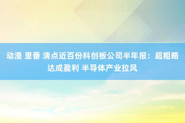 动漫 里番 清点近百份科创板公司半年报：超粗略达成盈利 半导体产业拉风