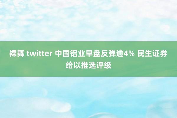 裸舞 twitter 中国铝业早盘反弹逾4% 民生证券给以推选评级