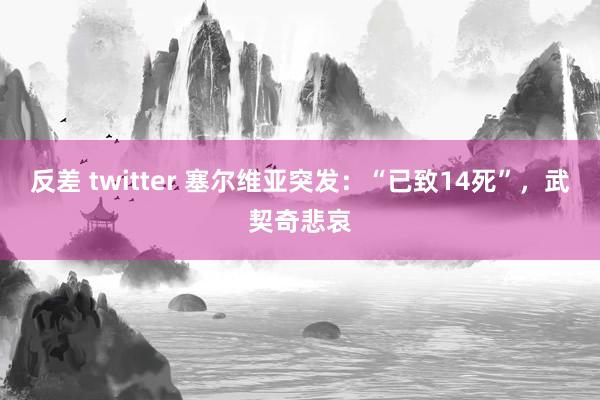 反差 twitter 塞尔维亚突发：“已致14死”，武契奇悲哀