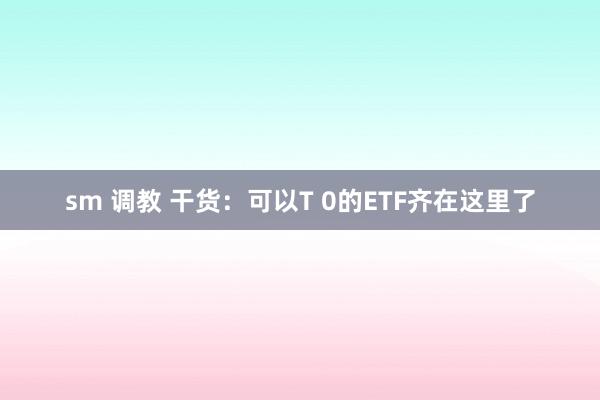 sm 调教 干货：可以T 0的ETF齐在这里了